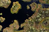 Aerial view of Viru Bog Estonia