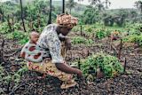 climateafrica