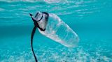 4-pillars-of-a-plastic-free-culture-in-government_asset_brian-yurasits-y8k-dmpnwni-unsplash
