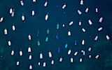 if-we-want-innovation-to-flourish-we-have-to-evaluate-it-heres-why_asset_berti-benbanaste-1448369-unsplash-1