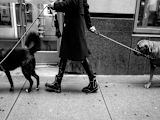 digital-government-citizens-service-design_asset_frederik-trovatten-com-604146-unsplash-1