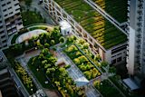 Decorative image of green city for article