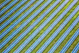Row of solar panels