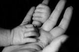 baby-boxes-allow-mothers-to-drop-off-unwanted-children_asset_liv-bruce-m0ovpgswk1e-unsplash