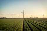 wind turbines