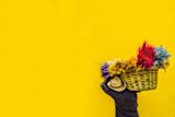 a-govtech-goldrush-is-underway-in-latin-america_asset_ronald-cuyan-ajgfljnmss4-unsplash-1