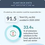 29. Plant-Rich Diets