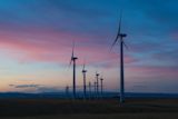 Wind turbines — Dan Meyers