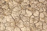 dry cracked earth after drought