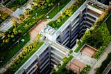Decorative image of green rooftop for article