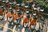 Decorative Image of a row of orange bikes parked next to each other for article