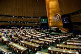 un-found-wanting-on-sex-abuse-claims-says-internal-investigator_asset_15162615527_fb65fcc16d_o-1