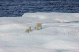 climate-change-government-failure-act-isnt-problem