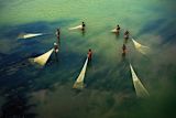 Group of Kolkata fishermen: By Shibasish Saha / Climate Visuals