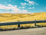 danish-companies-want-to-save-the-planet-hand-in-hand-with-government_asset_gerardo-marrufo-wvixshox4m4-unsplash-1