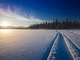 finland-experimental-culture-government_asset_25478521876_475ec01f93_h-1