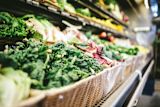 food-waste-a-simple-solution-to-a-huge-problem_asset_scott-warman-npnvi4ilt4a-unsplash