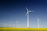 the-moonshot-to-save-the-planet_asset_photo-1515344905723-babc01aac23d