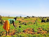 impact-bonds-sdgs_asset_6394033461_1c067962c4_b-1