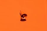 Decorative image of an orange megaphone on an orange background for An introduction to policymaking lesson 5.4