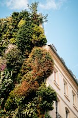 Green Roof