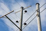 Decorative image of power lines for article