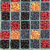 failing-food-system-recipe-change