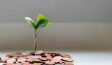 Decorative image of plant growing out of coins for article
