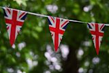 Decorative image of UK flags in nature banner for biodiversity loss and climate change in the article