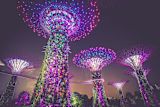 what-is-govtech-the-400bn-market-shaking-up-public-sector-procurement_asset_artificial-trees-945387_1280-2