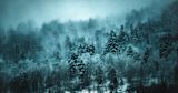 Siberia, Altai — Alex Dukhanov