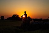 putting-prevention-and-early-intervention-to-work_asset_rsz_stephen-murphy-kwzwqi-m4hk-unsplash