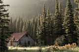 as-suicide-rates-rise-colorado-is-fighting-to-turn-the-tide_asset_28915672357_05235c9499_o-1