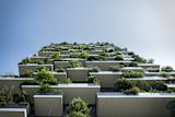 is-urban-greening-the-green-transformation-cities-need-to-fight-climate-change_asset_balconies-1031241_1920-1