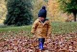 weekly-briefing-can-behavioural-insights-be-used-across-different-cultures_asset_green-spaces-1