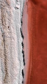 Decorative image of boundary between water and land for article