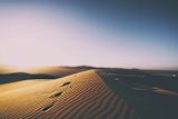 climate-change-what-would-4c-of-global-warming-feel-like_asset_jonatan-pie-6tm54xn1k_o-unsplash1
