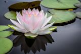 jay-castor-unsplash-mindfulness