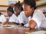 why-foreign-advisers-in-government-should-do-less-and-train-more_asset_30302819171_3961e8ddc2_k-1