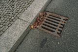 concrete curb — Egor Myznik