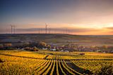 rural-power-is-changing-the-british-energy-landscape_asset_rsz_karsten-wurth-karsten-wuerth-ubgypmbmyp8-unsplash