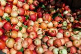 how-to-avoid-scarcity-thinking_asset_pexels-mark-stebnicki-2253316-1