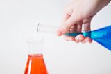 a-scientists-guide-to-citizen-engagement_asset_alex-kondratiev-1492738-unsplash-1