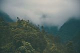 inside-the-innovation-lab-solving-climate-financing_asset_binit-sharma-cpam812ueyw-unsplash