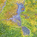 Wetlands