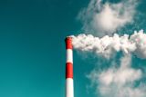 should-every-country-on-earth-copy-swedens-carbon-tax_asset_rsz_veeterzy-uwbrs-qrmho-unsplash
