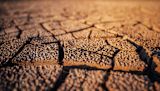 2 Governing for the Worst El Niño on Record 1