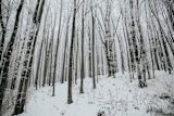 headwinds-to-change-in-romania_asset_rsz_alisa-anton-ln4c6pyvd2g-unsplash