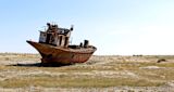 fight-climate-change-trees-in-sea_asset_aral-sea-passport-party-flickr