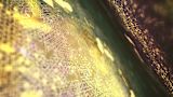 big-data-turns-bad_asset_33241097510_431b096d6c_z-2
